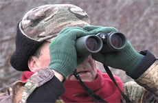 glassing